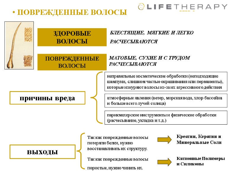 ПОВРЕЖДЕННЫЕ ВОЛОСЫ   ЗДОРОВЫЕ ВОЛОСЫ  БЛЕСТЯЩИЕ, МЯГКИЕ И ЛЕГКО РАСЧЕСЫВАЮТСЯ  МАТОВЫЕ,
